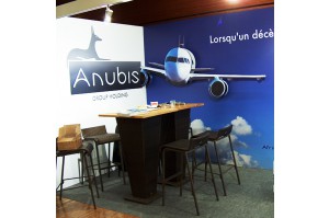 Décroché d'Images pour ANUBIS Group