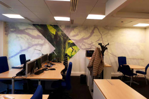 Pose 13 - Papier auto-collant ou Wall Art